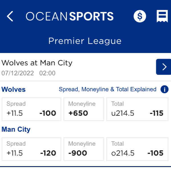 Oceans Sports betting app example